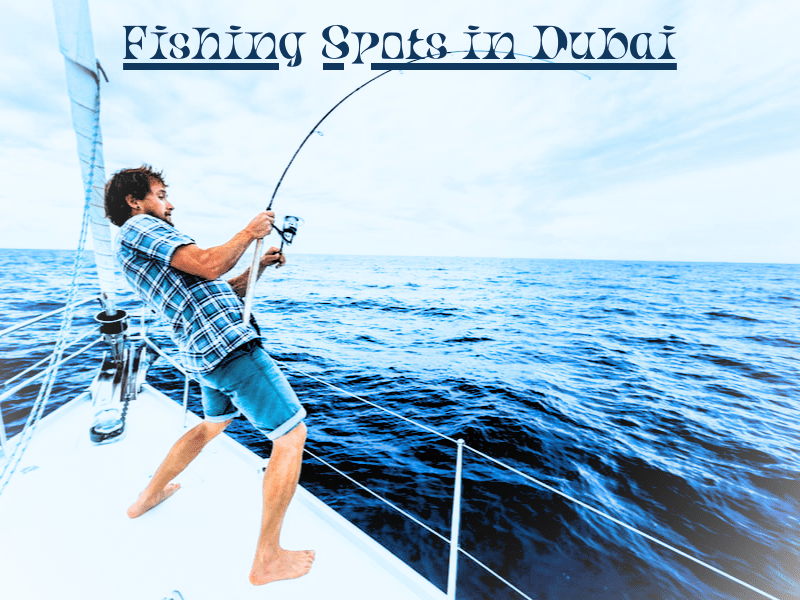 Fishing Spots in Dubai