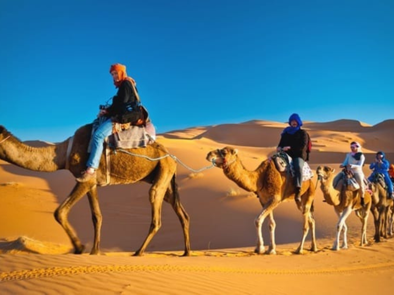 Exploring the Enigmatic: The Thrilling Experience of Desert Safari