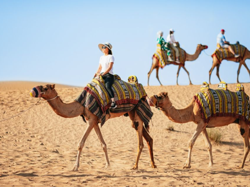 Journey into Tranquility: Camel Riding Desert Safari in Dubai