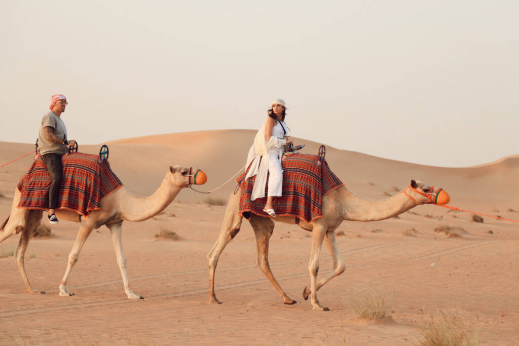 Morning Safari with Camel Ride: An Unforgettable Adventure